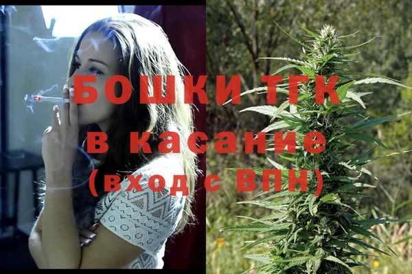 сатива Абаза